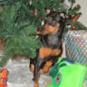 Meet your Posher, Amber